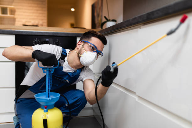 Best Ant Control Services  in Wanamassa, NJ