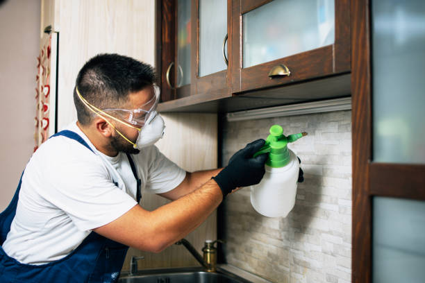 Best Wildlife Control Services  in Wanamassa, NJ