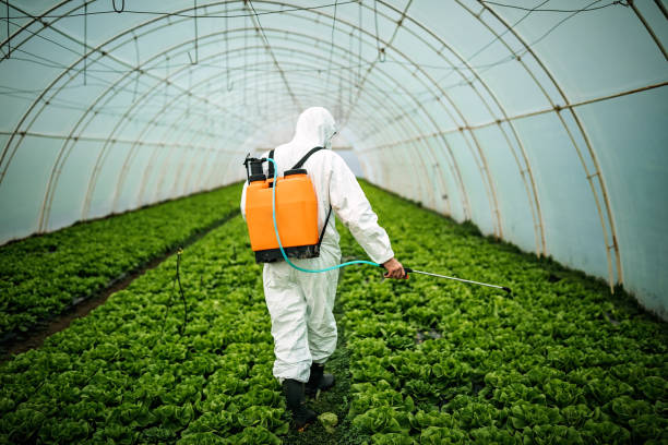Best Pest Prevention Services  in Wanamassa, NJ