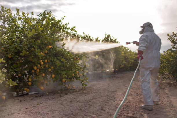 Best Local Pest Control Services  in Wanamassa, NJ