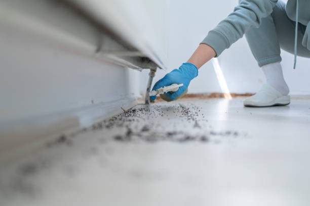 Professional Pest Control in Wanamassa, NJ