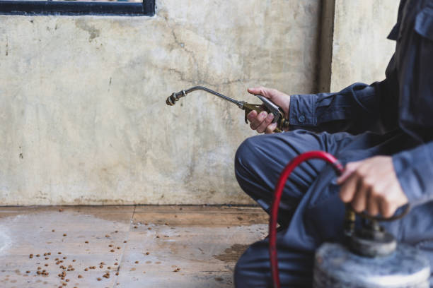 Best Residential Pest Control  in Wanamassa, NJ